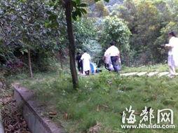 福州长乐爆料案件最新,惊人真相揭露，警方全力侦破中